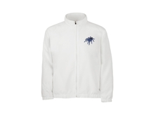 Electric Blue Earth Tiger Tarantula Product Image 7