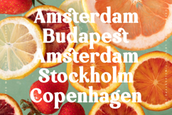 Jackets Region - Modern Vintage Serif Product Image 3