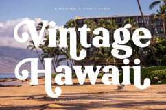 Jackets Region - Modern Vintage Serif Product Image 17