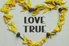 Jackflash Product Image 3