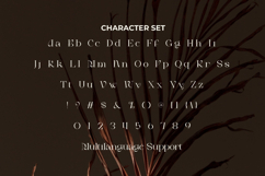 Jaima Kaira Font Product Image 5