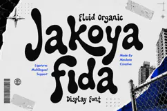 Jakoya Fida Fluid Organic Display Font Product Image 1