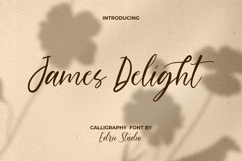 James Delight Font Product Image 1
