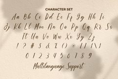 James Delight Font Product Image 5