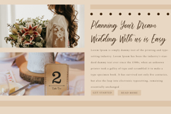 James Delight Font Product Image 6