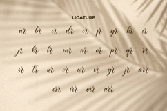 James Delight Font Product Image 7