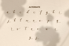 James Delight Font Product Image 9