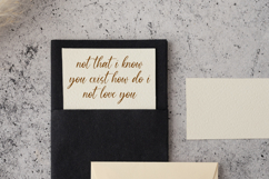 James Delight Font Product Image 2