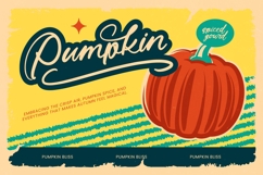 Janhira - Aesthetic Handwritten Font Product Image 11