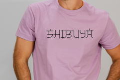 Japan Gate Product Image 8