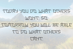 Japan Gate Product Image 4