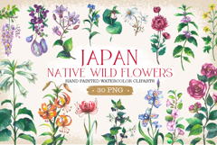 Japan native wild flowers watercolor Product Image 1