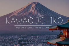 Japandi Product Image 4