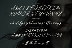 Jasendira - Signature Script Font Product Image 10