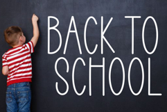 Jasmine Product Image 6