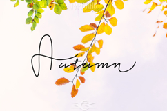 Jealousy Product Image 3