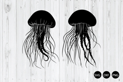 Jellyfish SVG, Sea Animals SVG Product Image 1