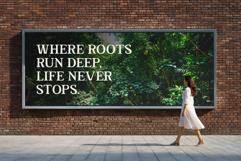 Jenbior - A Modern Editorial Serif Product Image 5