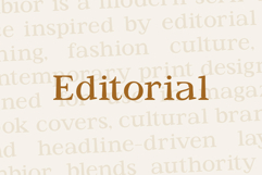 Jenbior - A Modern Editorial Serif Product Image 11