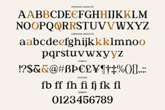 Jenbior - A Modern Editorial Serif Product Image 12