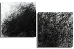 Charcoal Whimsy Product Image 2