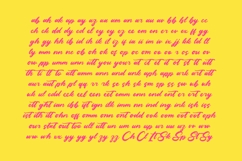 Jichelo Rosela - Bold Brush Font Product Image 14