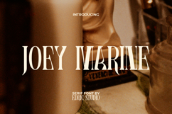 Joey Marine Font Product Image 1