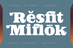 Jofjin Vikar Modern Serif Display Product Image 15