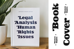 Jofjin Vikar Modern Serif Display Product Image 18