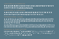 Jofjin Vikar Modern Serif Display Product Image 19