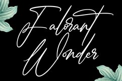 Jonathan Billy Signature Script Font Product Image 3