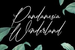 Jonathan Billy Signature Script Font Product Image 5