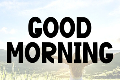 Joseph Sophia Product Image 6