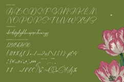 Josephine Octavia - Stylish Calligraphy Font Product Image 18