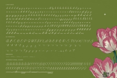 Josephine Octavia - Stylish Calligraphy Font Product Image 19