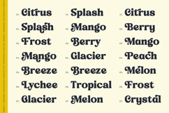 Journal Society - Modern Bold Serif Product Image 4