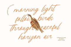 Journal Something - Handwritten Ink Font Product Image 4