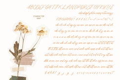 Journal Something - Handwritten Ink Font Product Image 6