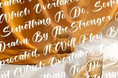 Joyland Delight - Bold Calligraphy Script Product Image 9