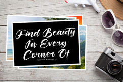 Joyland Delight - Bold Calligraphy Script Product Image 14