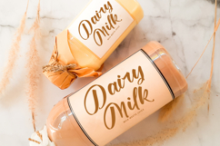 Joyland Delight - Bold Calligraphy Script Product Image 15