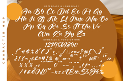 Joyland Delight - Bold Calligraphy Script Product Image 18