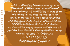 Joyland Delight - Bold Calligraphy Script Product Image 19