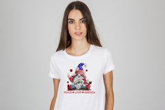 Gnome amerika png 4 png bundle Product Image 3