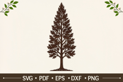 Tall Pin Oak Tree SVG Design Product Image 1