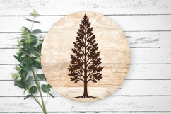 Tall Pin Oak Tree SVG Design Product Image 3
