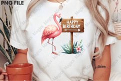 Happy Birthday Kangaroo Graphic, Birthday Sublimation Design Product Image 2