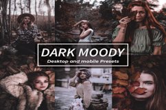 Dark moody lightroom presets for desktop and mobile Product Image 1
