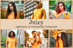 Juicy Lightroom Presets Mobile Photoshop Actions LUT Filters Product Image 1