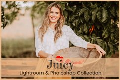 Juicy Lightroom Presets Mobile Photoshop Actions LUT Filters Product Image 11